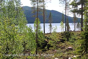 einer der vielen Seen in Mittelschweden